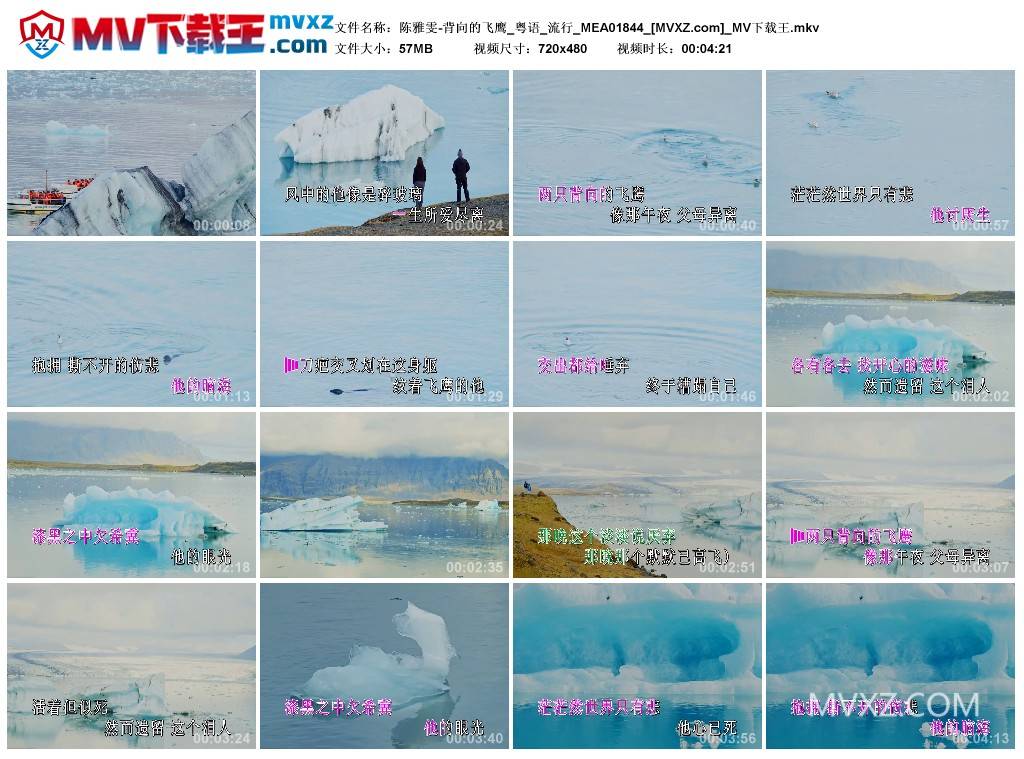 陈雅雯-背向的飞鹰_粤语_流行_MEA01844